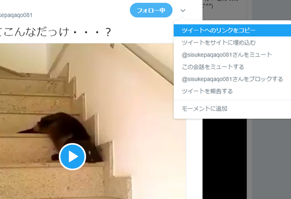 GIF保存2.png